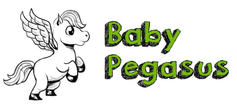Baby Pegasus